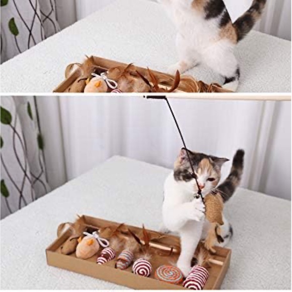 Cat Toys for Indoor Cats, Interactive Cat Toy 7PCS Retractable Cat Wand Toy - Picture 6 of 7